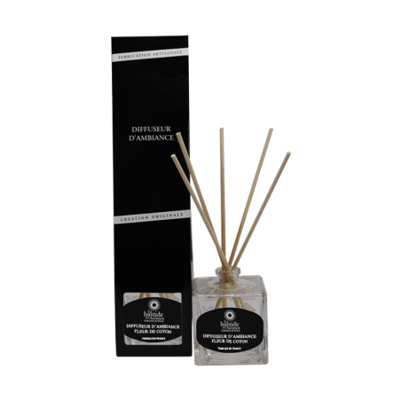 Diffuseur d'ambiance 100 ml - 36 senteurs au choix